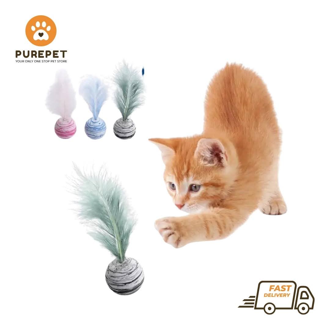 Ball With Feather Toy