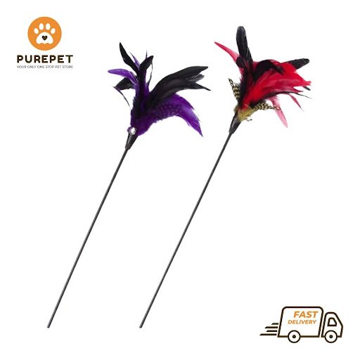 Birds Feather Stick