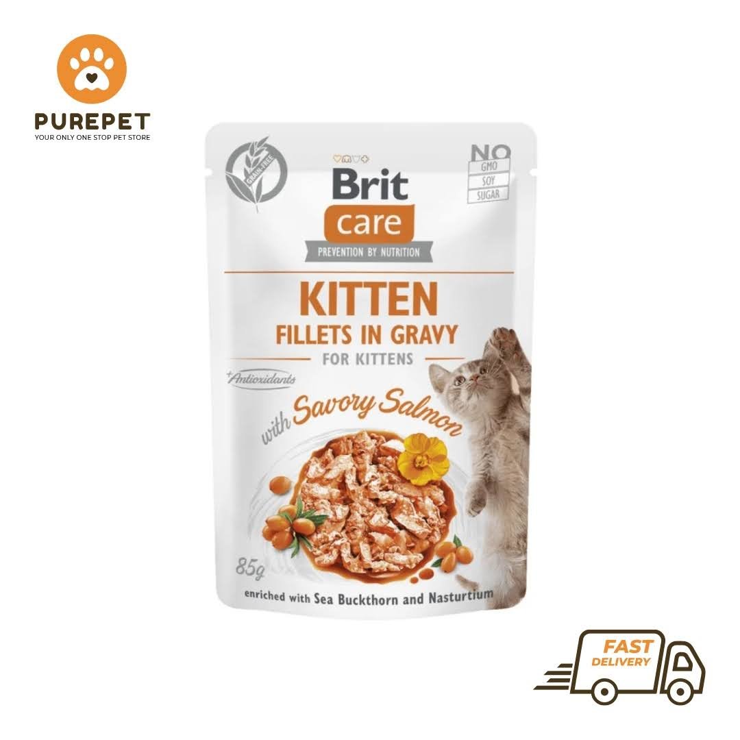 Brit Care Cat Kitten. Fillets in Gravy with Savory Salmon 85 g