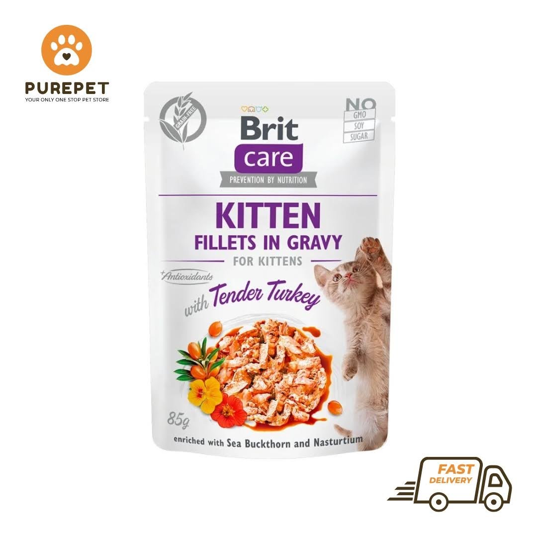 Brit Care Cat Pouch KITTEN – Tender Turkey in Gravy