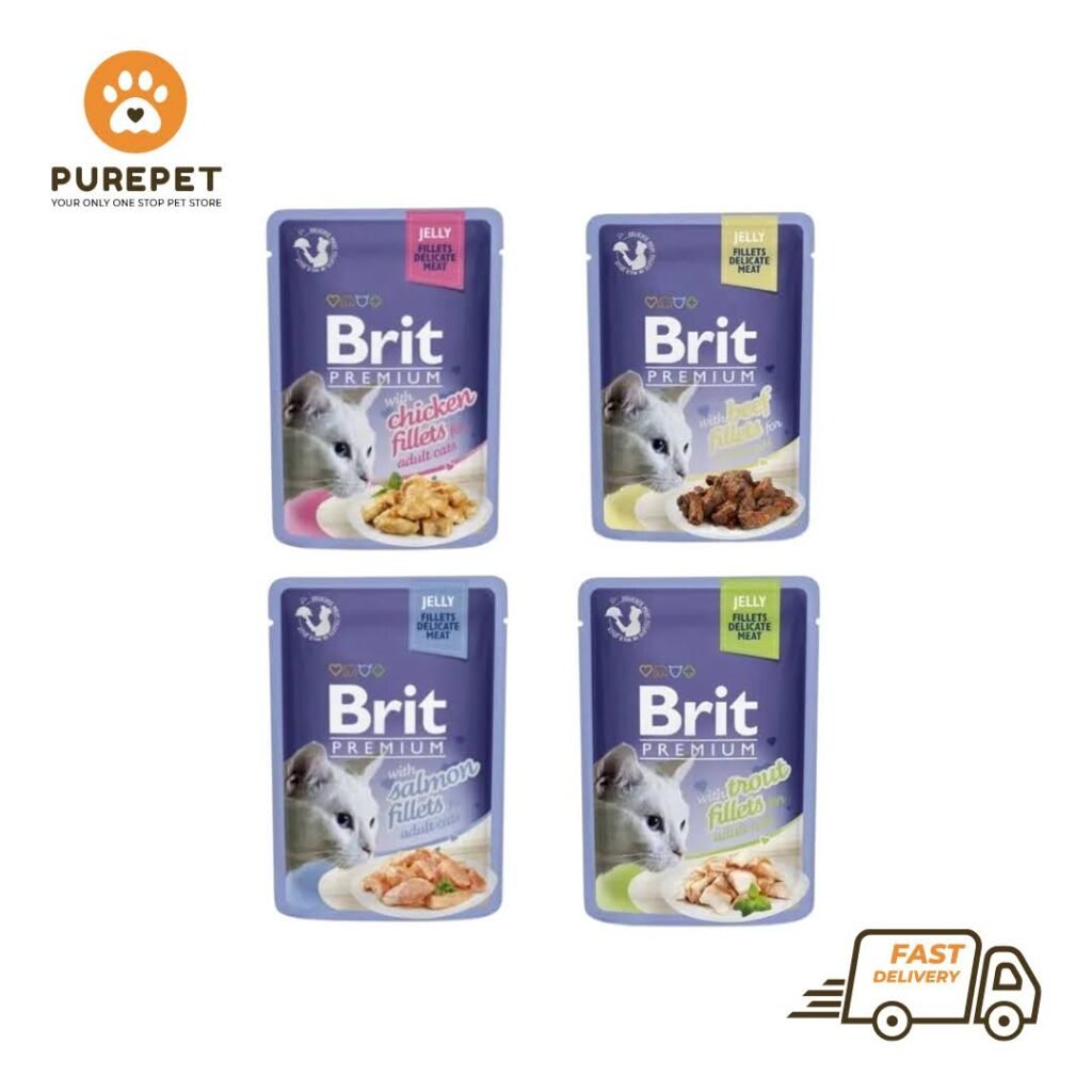 Brit Jelly Sachet 100g