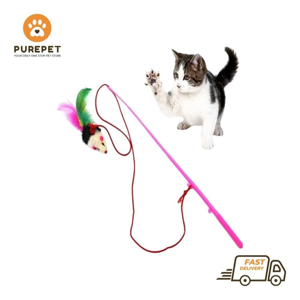 Cat Playing Stick Mouse