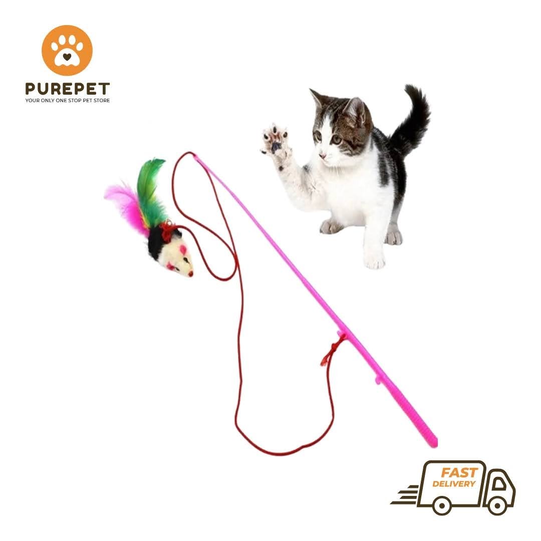 Cat Playing Stick Mouse