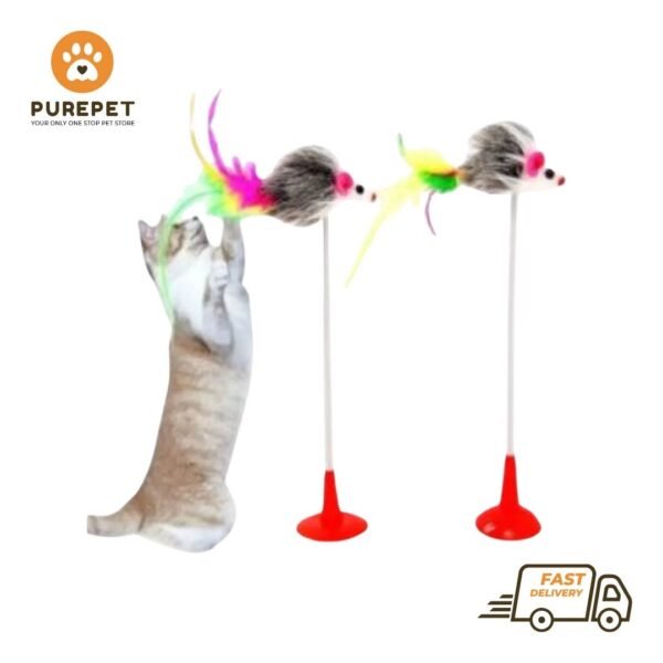 Cat Spring Toy