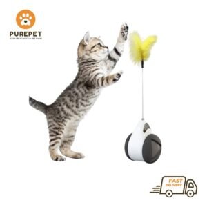 Funny Feather Balance Cat Toy