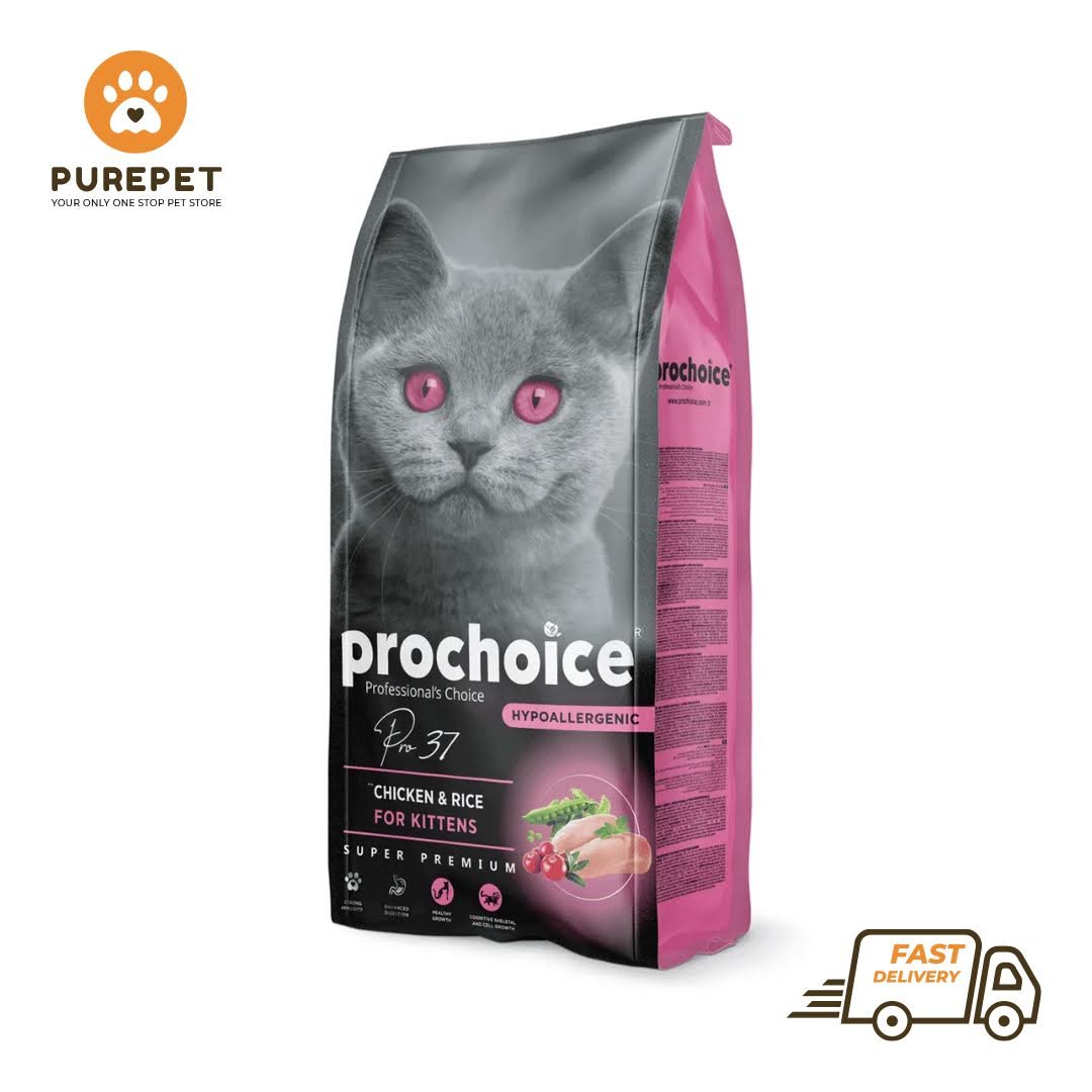 ProChoice Pro37 Chicken & Rice Recipe | Kitten