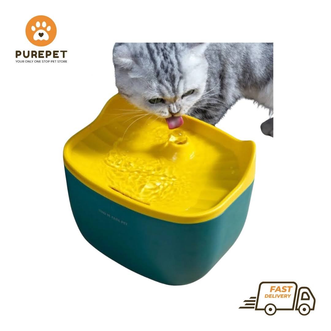 Fountain 2L (Cat Face)