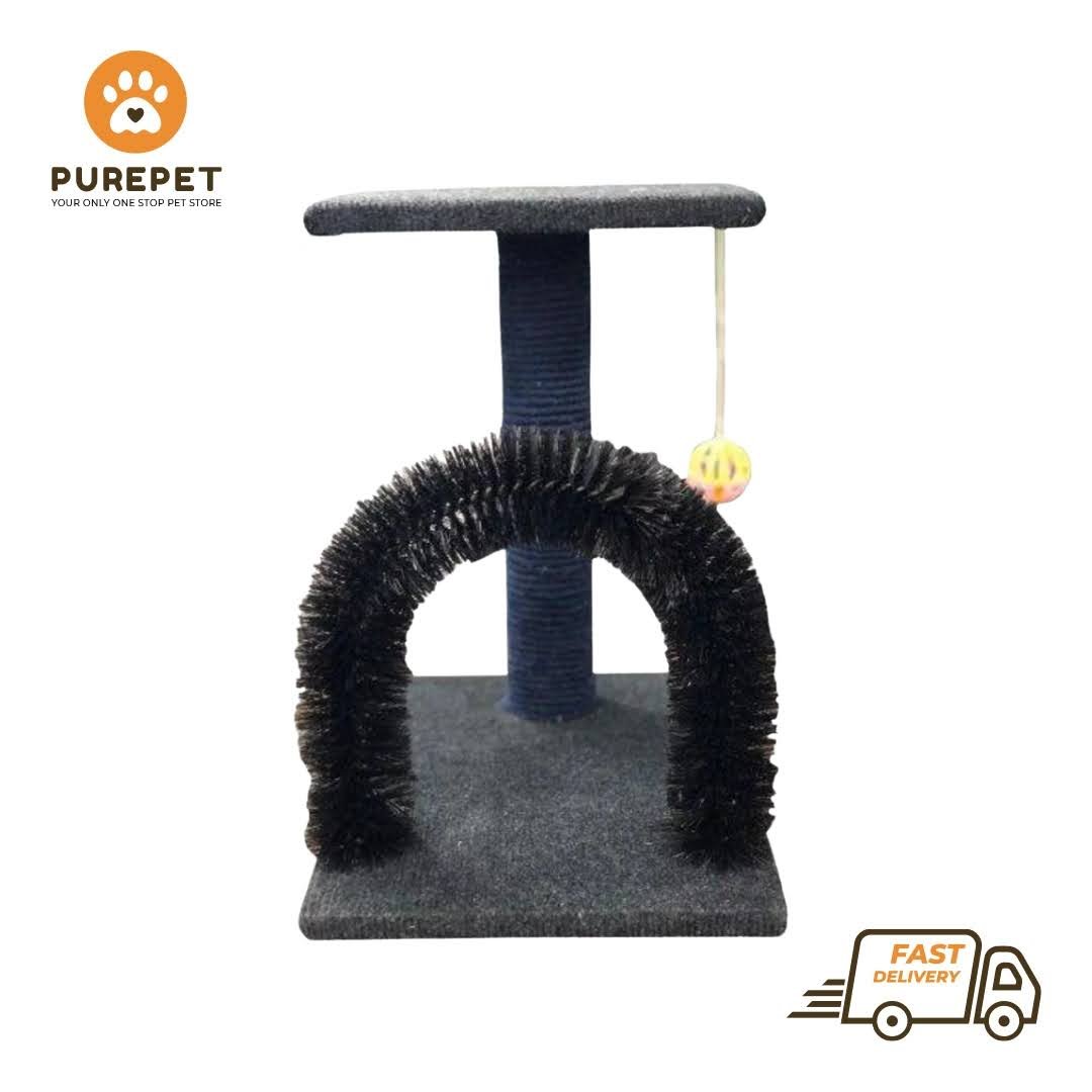 Scratching Post (2 in 1)