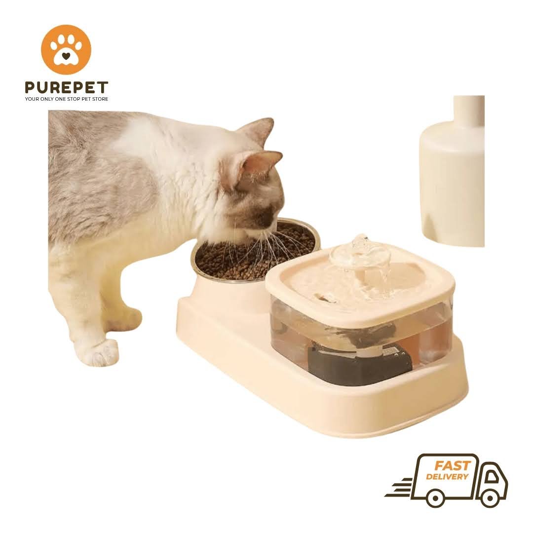 Square Fountain With Feeding Bowl